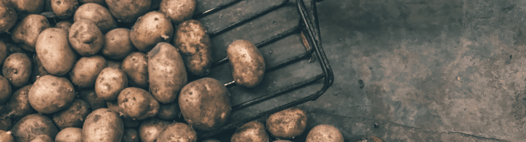 Aardappelen met een vork