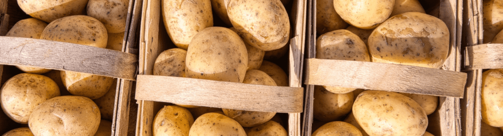 De beste kooktijden voor aardappelen